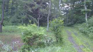 長野県菅平高原 ゆたか山荘 坂上 2026/07/22 05:15
