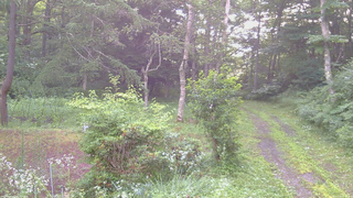 長野県菅平高原 ゆたか山荘 坂上 2026/07/22 05:30