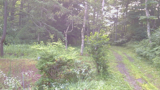 長野県菅平高原 ゆたか山荘 坂上 2026/07/22 05:45