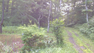 長野県菅平高原 ゆたか山荘 坂上 2026/07/22 06:00