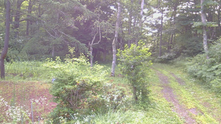 長野県菅平高原 ゆたか山荘 坂上 2026/07/22 06:30