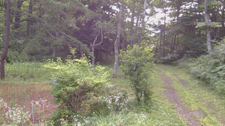 長野県菅平高原 ゆたか山荘 坂上 2026/07/22 07:00