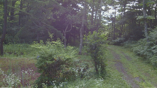 長野県菅平高原 ゆたか山荘 坂上 2026/07/22 07:45