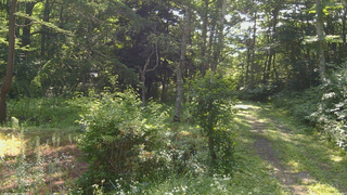長野県菅平高原 ゆたか山荘 坂上 2026/07/22 08:15