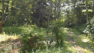長野県菅平高原 ゆたか山荘 坂上 2026/07/22 08:30