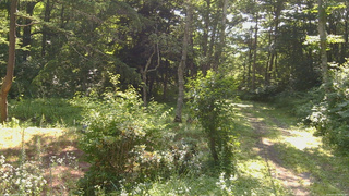 長野県菅平高原 ゆたか山荘 坂上 2026/07/22 08:45