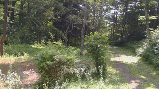 長野県菅平高原 ゆたか山荘 坂上 2026/07/22 09:15