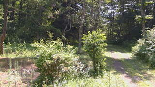 長野県菅平高原 ゆたか山荘 坂上 2026/07/22 09:45