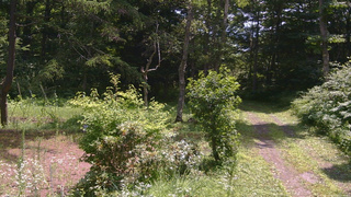 長野県菅平高原 ゆたか山荘 坂上 2026/07/22 10:45