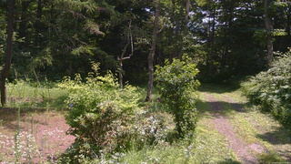 長野県菅平高原 ゆたか山荘 坂上 2026/07/22 11:00