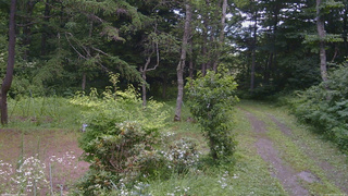 長野県菅平高原 ゆたか山荘 坂上 2026/07/22 11:15