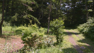 長野県菅平高原 ゆたか山荘 坂上 2026/07/22 11:30