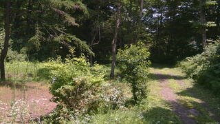 長野県菅平高原 ゆたか山荘 坂上 2026/07/22 11:45