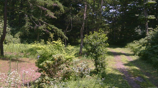 長野県菅平高原 ゆたか山荘 坂上 2026/07/22 12:00