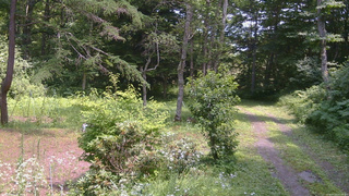 長野県菅平高原 ゆたか山荘 坂上 2026/07/22 12:15