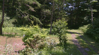 長野県菅平高原 ゆたか山荘 坂上 2026/07/22 12:30