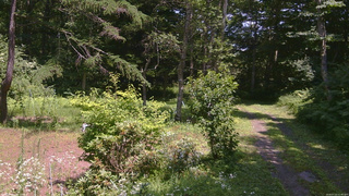長野県菅平高原 ゆたか山荘 坂上 2026/07/22 12:45