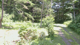 長野県菅平高原 ゆたか山荘 坂上 2026/07/22 13:00