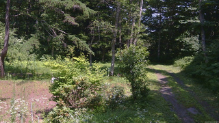長野県菅平高原 ゆたか山荘 坂上 2026/07/22 13:15