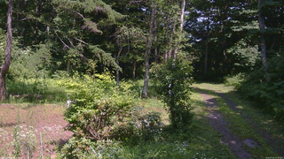 長野県菅平高原 ゆたか山荘 坂上 2026/07/22 13:30