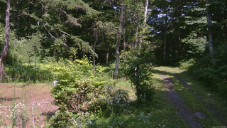 長野県菅平高原 ゆたか山荘 坂上 2026/07/22 13:45