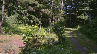長野県菅平高原 ゆたか山荘 坂上 2026/07/22 14:00