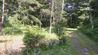 長野県菅平高原 ゆたか山荘 坂上 2026/07/22 14:15
