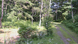 長野県菅平高原 ゆたか山荘 坂上 2026/07/22 14:30