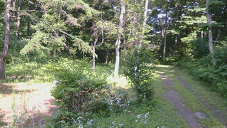 長野県菅平高原 ゆたか山荘 坂上 2026/07/22 14:45