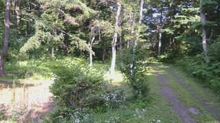 長野県菅平高原 ゆたか山荘 坂上 2026/07/22 15:00