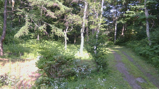 長野県菅平高原 ゆたか山荘 坂上 2026/07/22 15:15