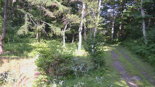 長野県菅平高原 ゆたか山荘 坂上 2026/07/22 15:30