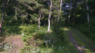 長野県菅平高原 ゆたか山荘 坂上 2026/07/22 15:45