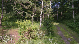 長野県菅平高原 ゆたか山荘 坂上 2026/07/22 16:00