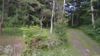 長野県菅平高原 ゆたか山荘 坂上 2026/07/22 16:15