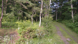 長野県菅平高原 ゆたか山荘 坂上 2026/07/22 16:30