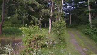 長野県菅平高原 ゆたか山荘 坂上 2026/07/22 16:45