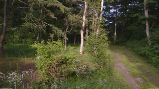 長野県菅平高原 ゆたか山荘 坂上 2026/07/22 17:00