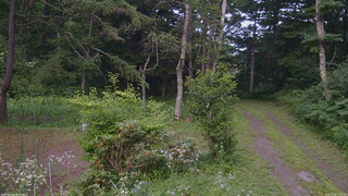 長野県菅平高原 ゆたか山荘 坂上 2026/07/22 17:15
