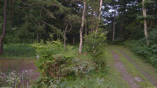 長野県菅平高原 ゆたか山荘 坂上 2026/07/22 17:30