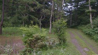 長野県菅平高原 ゆたか山荘 坂上 2026/07/22 17:45