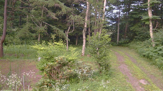 長野県菅平高原 ゆたか山荘 坂上 2026/07/22 18:00