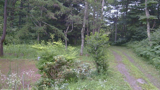 長野県菅平高原 ゆたか山荘 坂上 2026/07/22 18:30