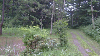 長野県菅平高原 ゆたか山荘 坂上 2026/07/22 18:45