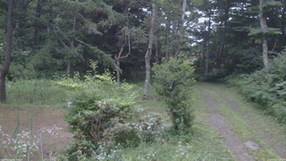 長野県菅平高原 ゆたか山荘 坂上 2026/07/22 19:00