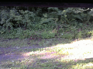 長野県菅平高原 ゆたか山荘 東側(坂下) 2026/07/23 06:30