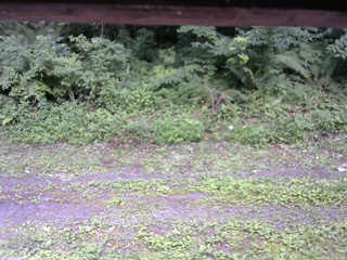 長野県菅平高原 ゆたか山荘 東側(坂下) 2026/07/23 12:30