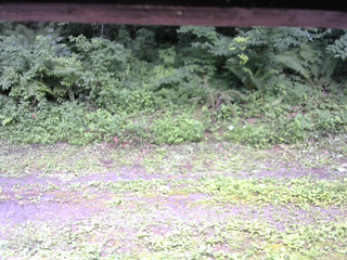 長野県菅平高原 ゆたか山荘 東側(坂下) 2026/07/23 12:45