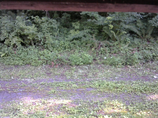 長野県菅平高原 ゆたか山荘 東側(坂下) 2026/07/23 15:45