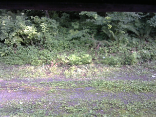 長野県菅平高原 ゆたか山荘 東側(坂下) 2026/07/23 17:00